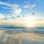 Discovering Miami Beach: Unraveling its Relationship with Miami