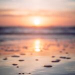 Discover the Magic: Sunset Cruises in Miami Beach