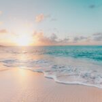 Exploring the Miami Beach Convention Center: A Hub for Events and Gatherings
